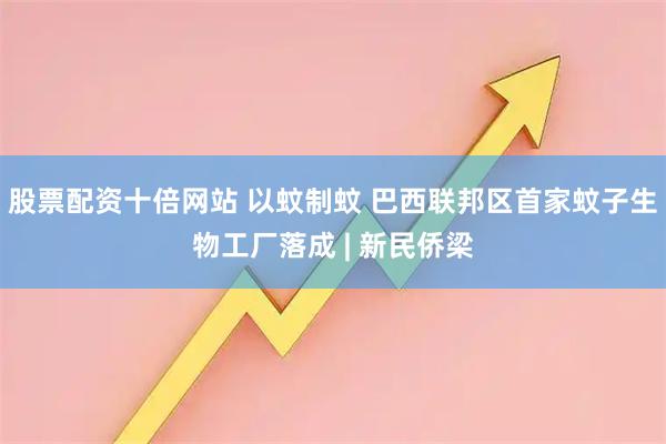 股票配资十倍网站 以蚊制蚊 巴西联邦区首家蚊子生物工厂落成 | 新民侨梁